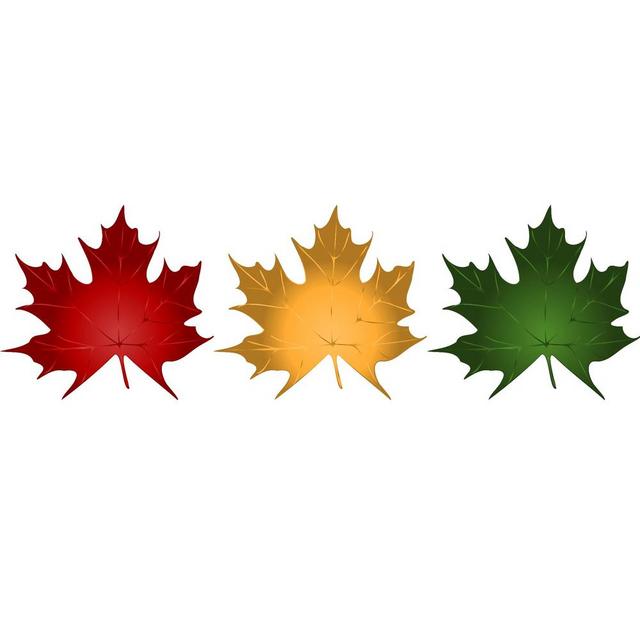 [Image: 503-Canadian-Maple-Leaf-T-Shirt-Red-Gold...le-Lea.jpg]
