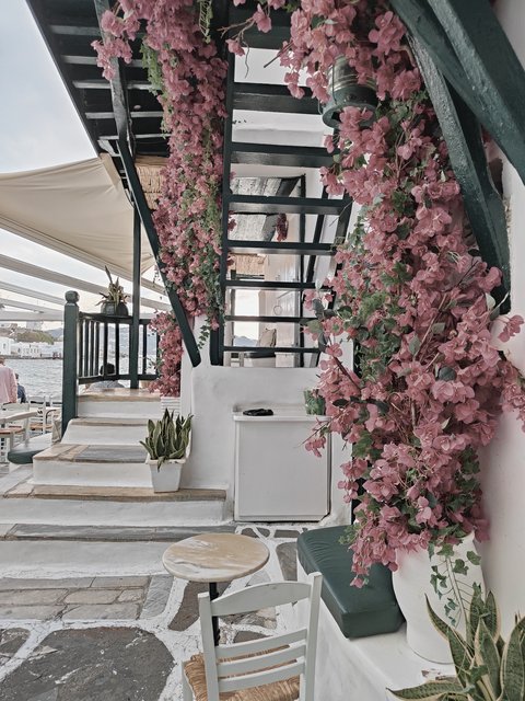 Crucero de 8 días desde El Pireo (Atenas) a bordo del MSC Musica - Blogs de Mediterráneo - LIMASOL en Chipre, MIKONOS en Grecia y BOLONIA y FLORENCIA en Italia (10)