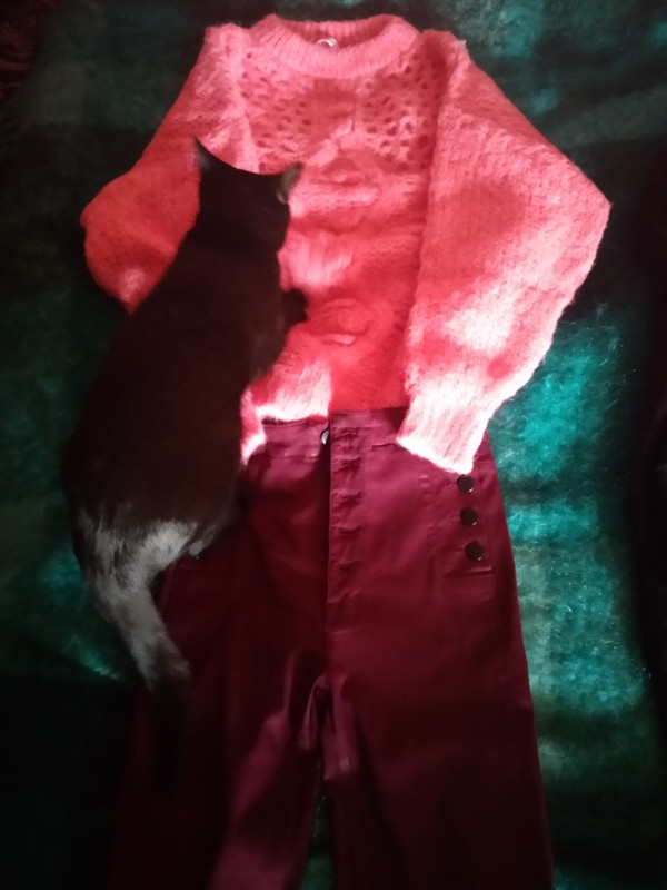 IMG_20190121_143047_HHT