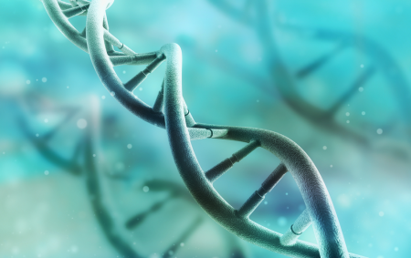 Gene Prediction: A Step-by-Step Guide to Finding Genes
