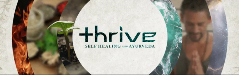 [Image: ayurveda.png]