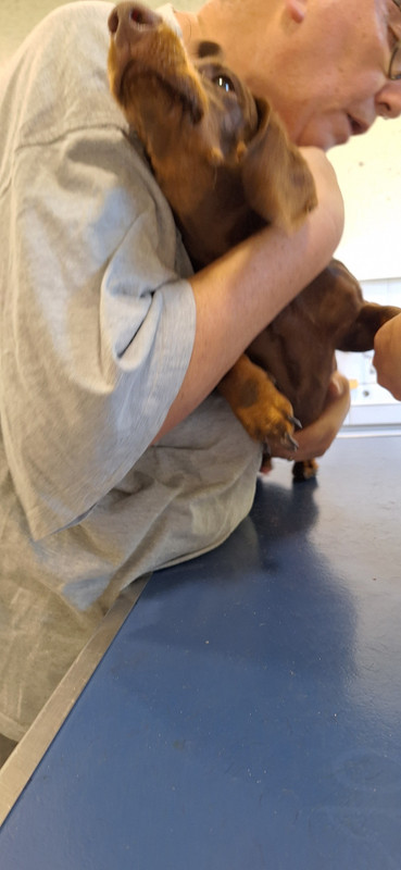 [Image: 20251014-173301.jpg]