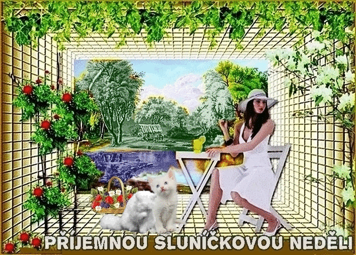 8-9.gif