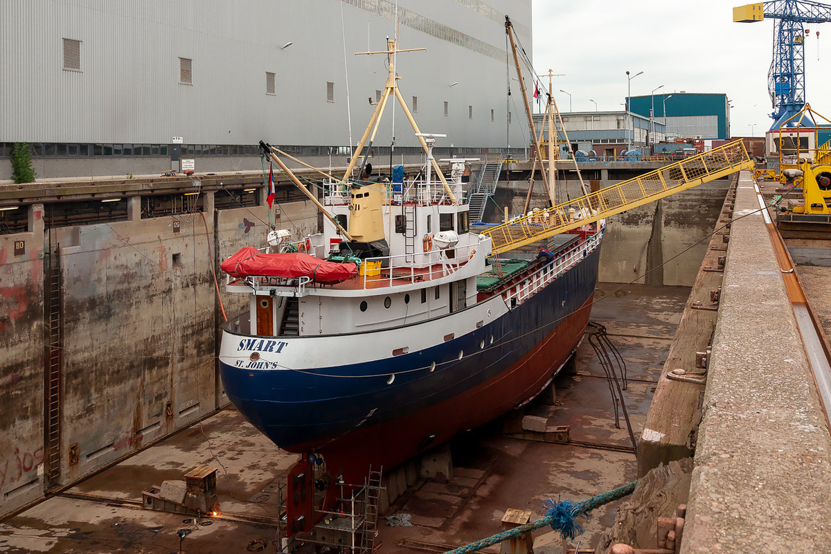 SMART@Scheldepoort 28.07. 2010(2)