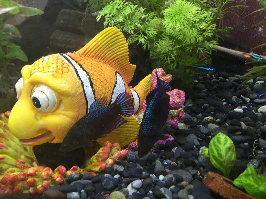 E878B699-1DD1-444A-BD1E-DAB0D01D37A2