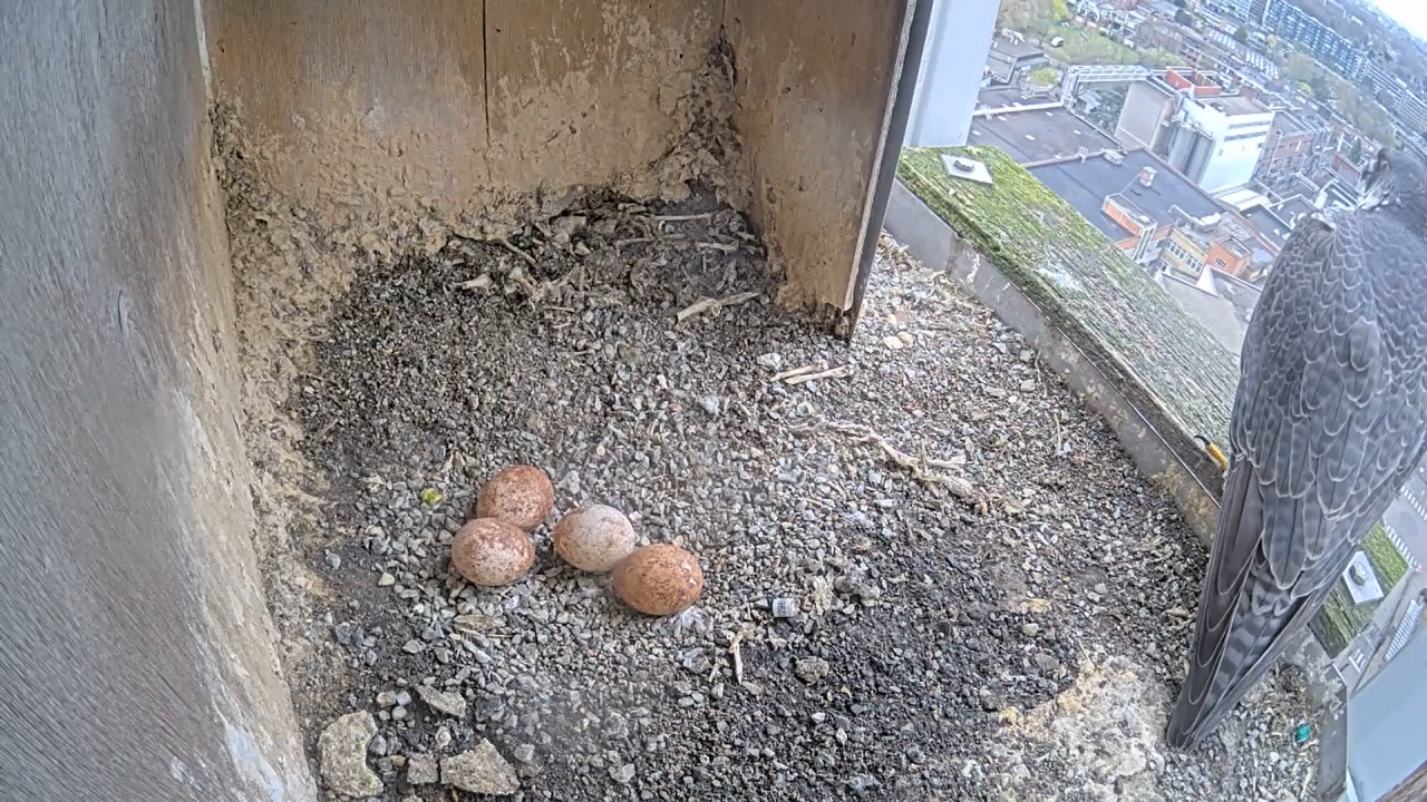 Schermafbeelding 2026 04 03 150517