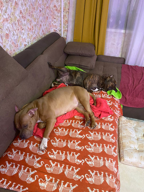 47A4403F-1DAB-45BA-BDC5-1C14A02FF398