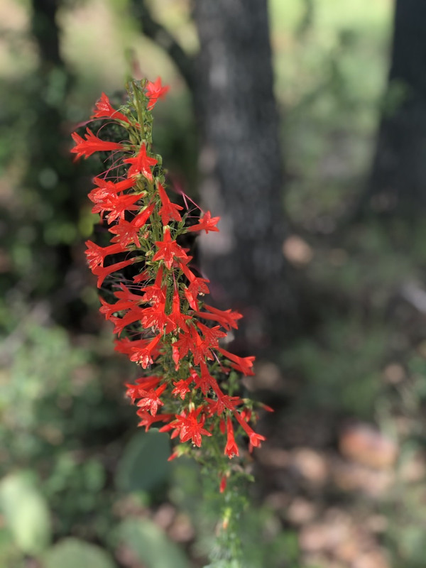 A52A0C73-0361-4DF7-9385-2D1C6E8A992A