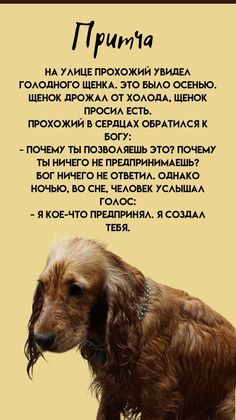 [Изображение: 1d30e316a087f9bdb872ce24517d68ec.jpg]