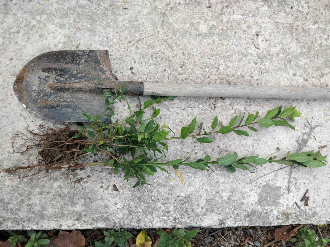 изображение_viber_2023-10-30_11-03-37-657