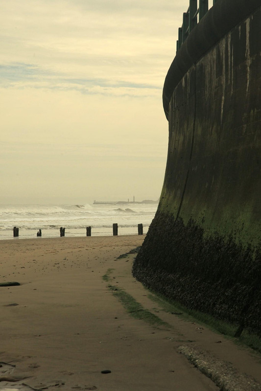 F7677E14-73EC-4937-B56D-9728B09F5F8B