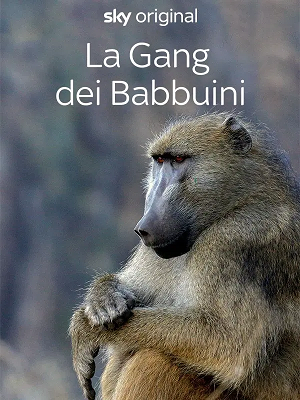 La gang dei babbuini - Stagione 1 (2023) [Completa] DLMux 1080p E-AC3+AC3 ITA
