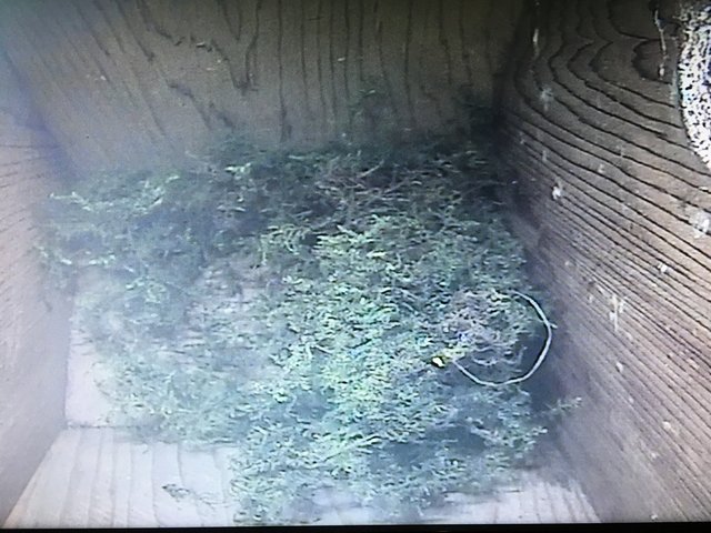 9A81ABEB-3EEE-4247-A62D-B81D6C30FF41