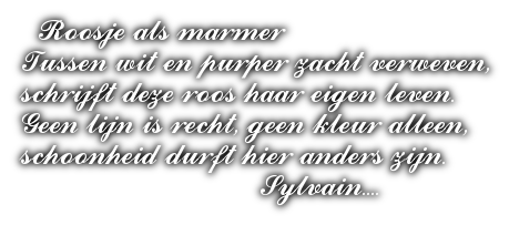 cooltext501376421192935