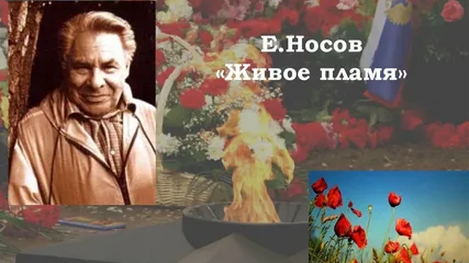 С японского континента как долетела прекрасная новость о том