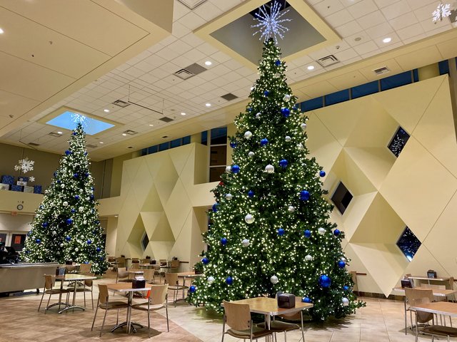 [Image: D494-F66-B-7156-47-CF-9-E63-F3-B112-E7-C236.jpg]