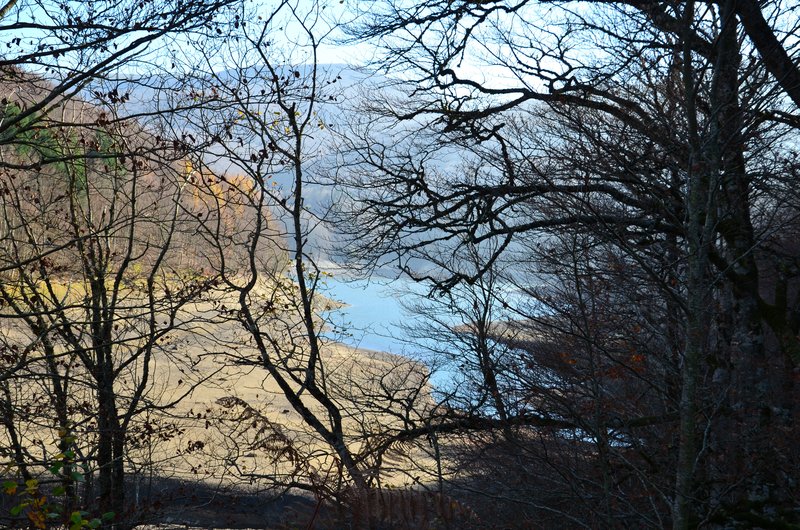 SELVA DE IRATI-14-11-2015-NAVARRA - Paseando por España-1991/2024 (90)