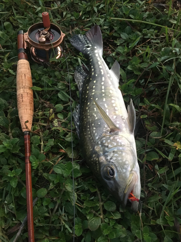 D26BC73B-4E90-4736-A816-9B991325028F