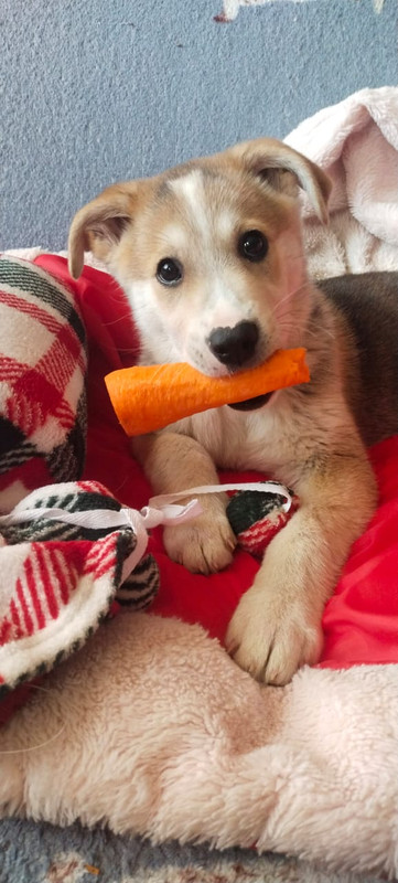 Изображение WhatsApp 2025-01-13 в 13.46.32_f526dbc6