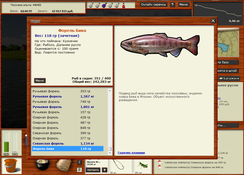 Форель Бива