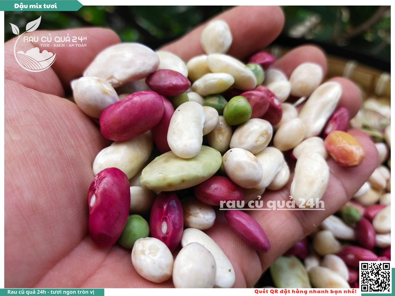 Đậu Mix Tươi 5