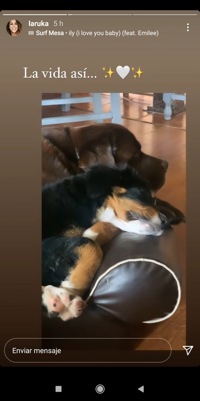 Screenshot_2020-12-29-19-03-30-342_com.instagram.android