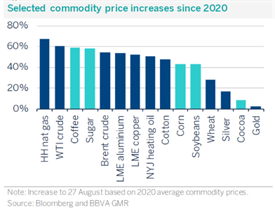 Selected commodity price increases since 2020
