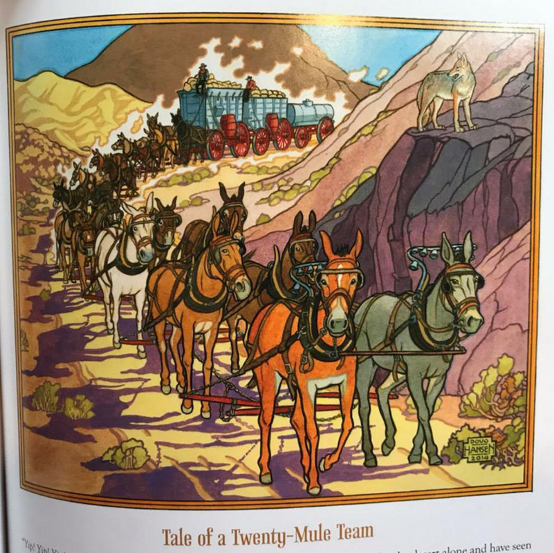 20 Mule Team Illustration
