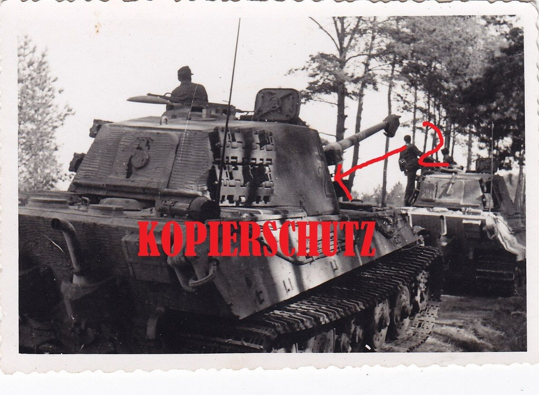 schwere Panzerabteilung Tiger II Königstiger Sd.