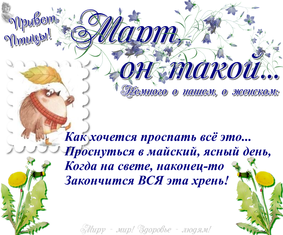https://i.postimg.cc/qR8WDwVw/19-03.png