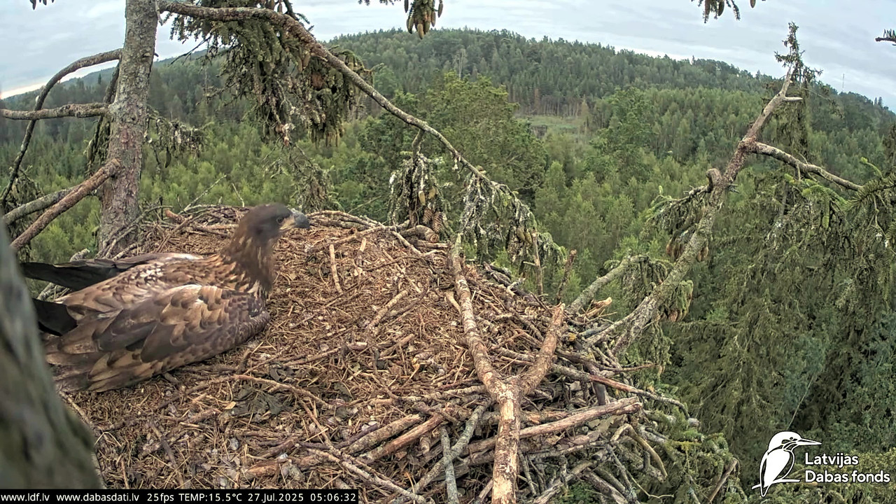 vlcsnap-2025-07-27-04h45m12s639