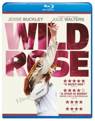 A Proposito di Rose (2018) .mkv BDRiP 1080p x264 - AC3/DTS iTA - AC3 ENG