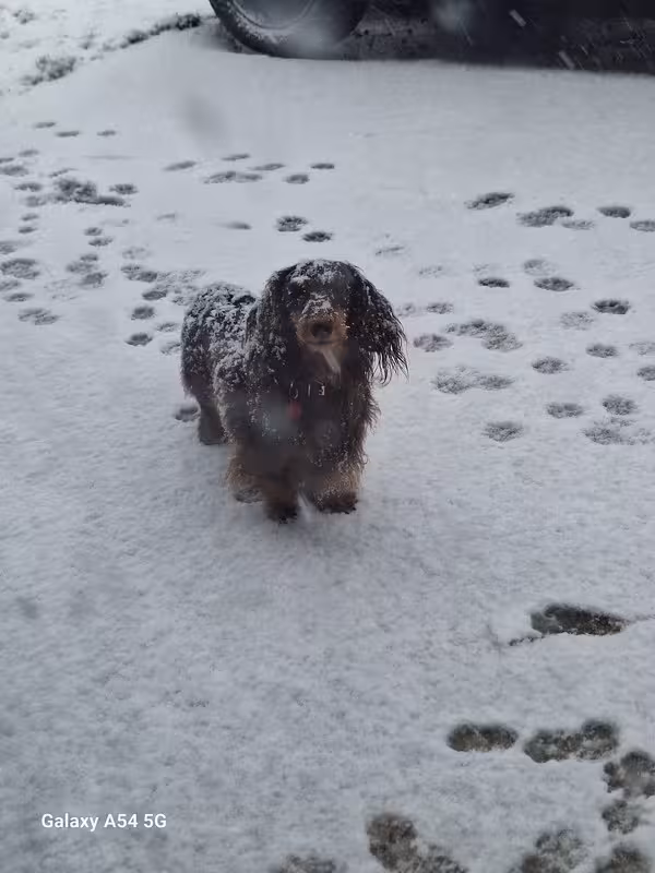 [Image: 20241121-094330.avif]