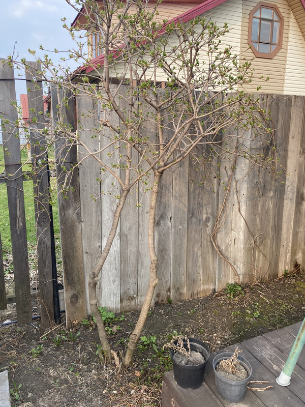 559C3FE8-0F87-4256-A5F1-0E08756A07DD