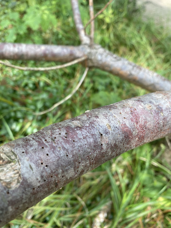 5BB9FD25-C567-4010-A8FC-0EB6DDFA8F72