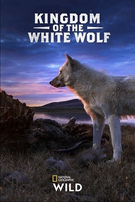 Il regno del lupo bianco - Stagione 1 (2019) [Completa] DLMux 1080p E-AC3+AC3 ITA