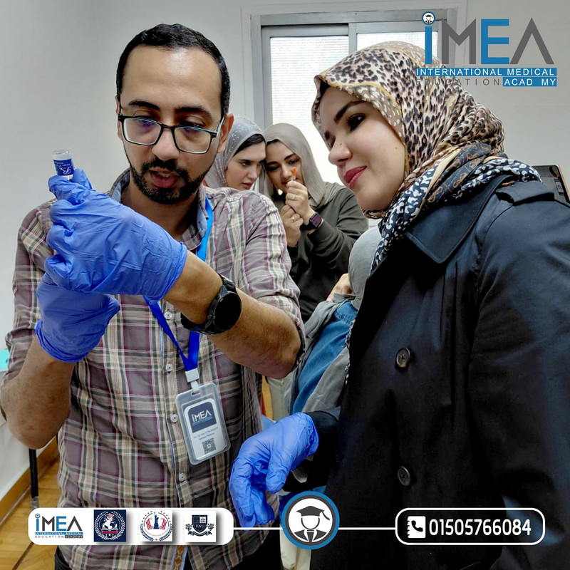 IMEA Gallery 8
