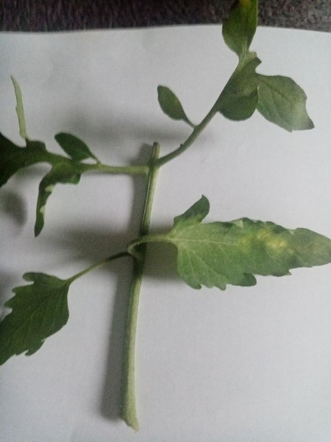 photo_2023-06-17_23-11-16 (3)