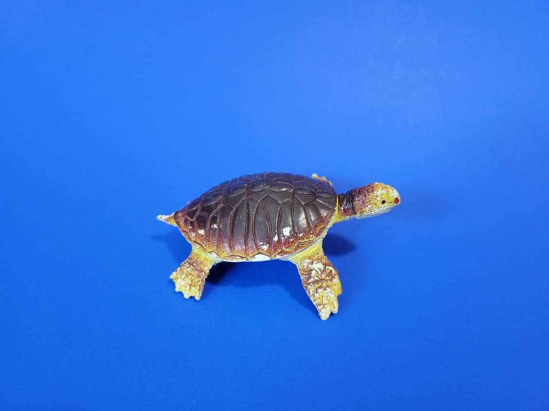 Pictures for Toy Animal Wiki - Page 36 20240418-180155