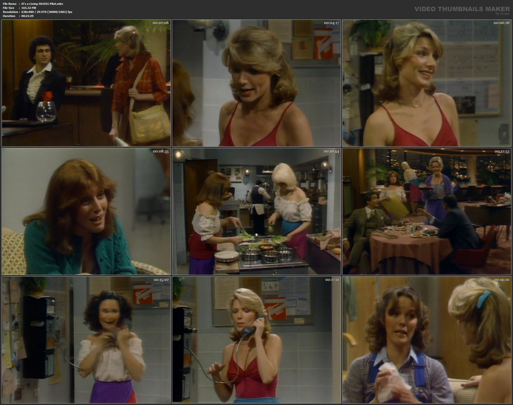 It's a Living S01E01 Pilot.mkv