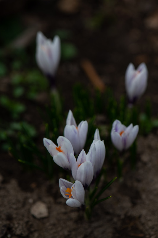 IMG-1a2000e2840854f17737ea06cd77c989-V
