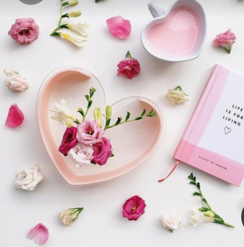 Screenshot_20230220_000842_Pinterest