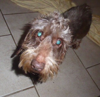 [Image: P1050794.jpg]