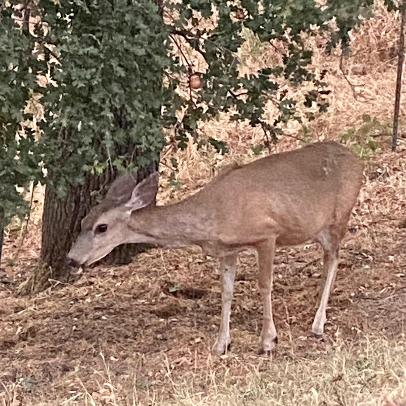 12B103CB-19EF-4AE4-972C-15A1CDF0F286