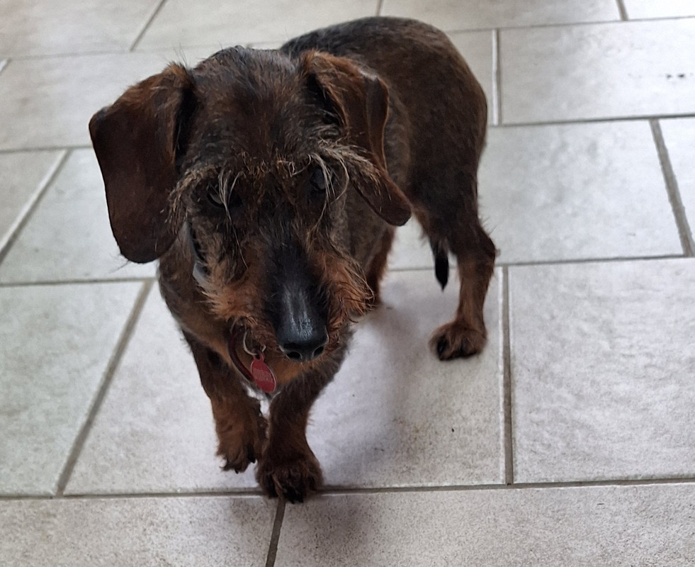 [Image: 20240312-110605.jpg]