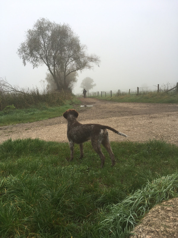 2024-01-11 Claire hondje 5 IMG_4361 (002)