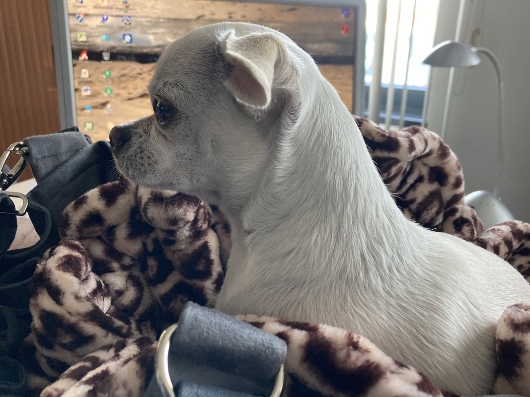 18664230-DB30-4038-8AE2-EC62A2893851