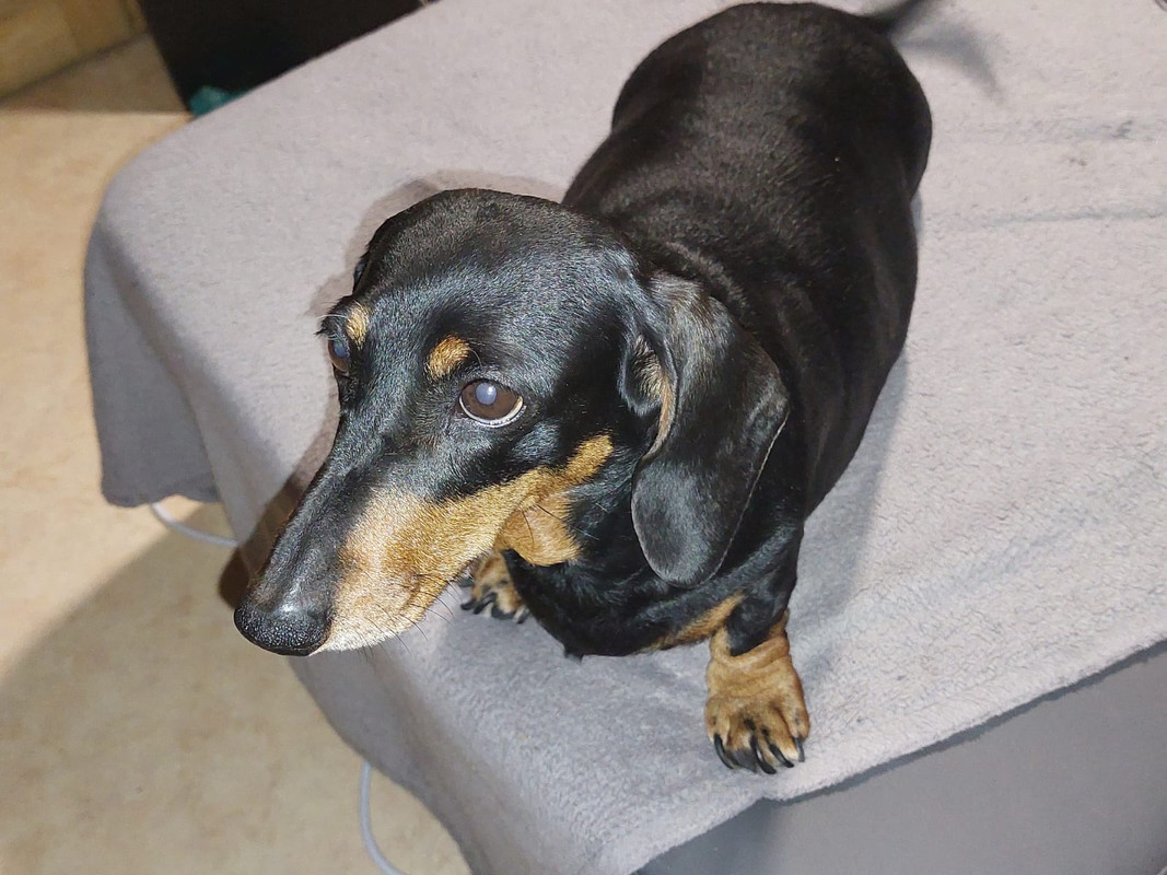 [Image: IMG-20230711-WA0007.jpg]