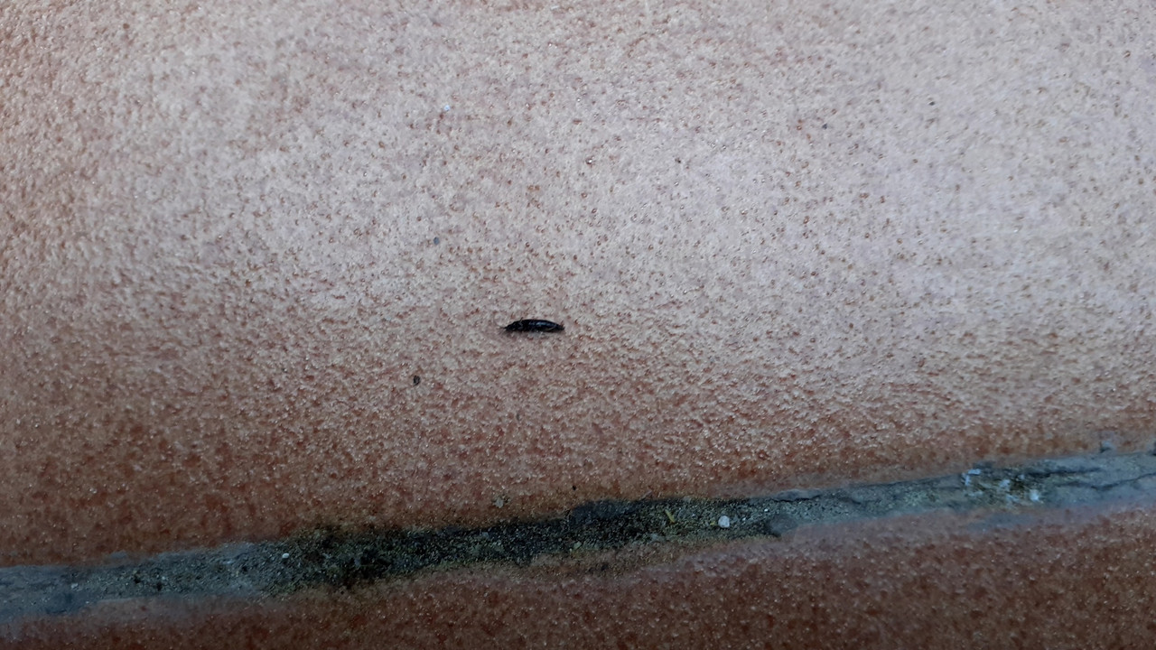 20210520_134448_resized