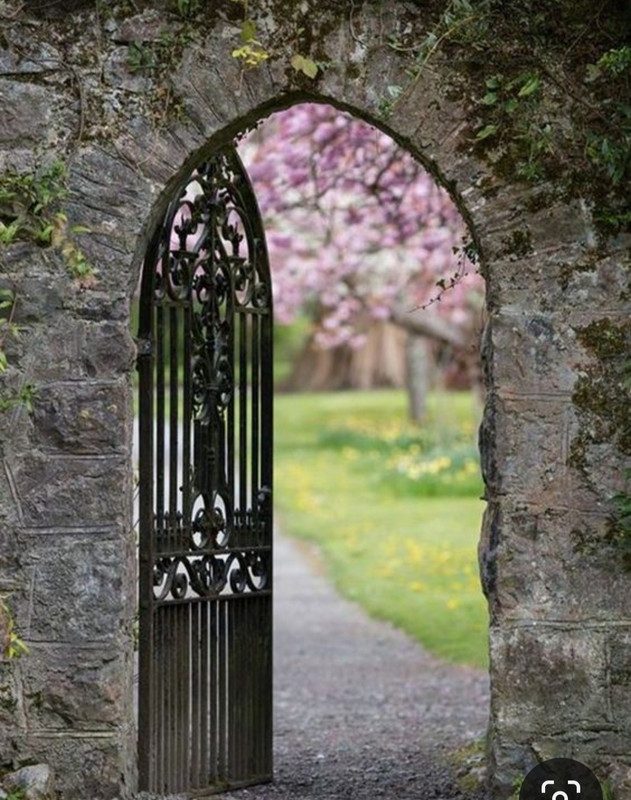 Screenshot_20240508_234018_Pinterest